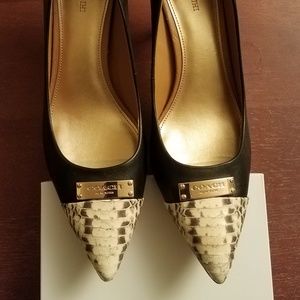 COACH Women's Bowery Pointed-Toe Pumps